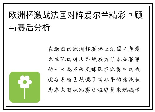欧洲杯激战法国对阵爱尔兰精彩回顾与赛后分析
