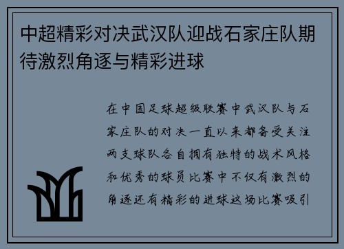 中超精彩对决武汉队迎战石家庄队期待激烈角逐与精彩进球